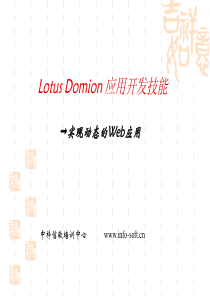 DominolotusWeb开发培训