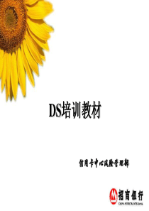 DS征信培训教材修正版