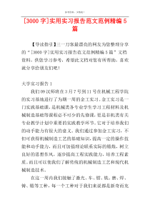 [3000字]实用实习报告范文范例精编5篇