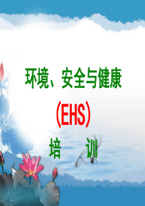 EHS讲座(最新培训)