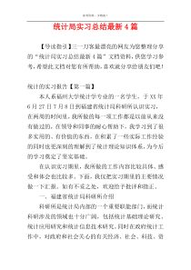 统计局实习总结最新4篇