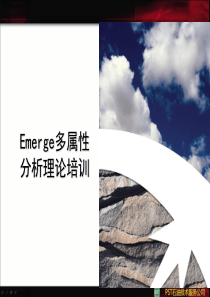 Emerge多属性分析理论培训