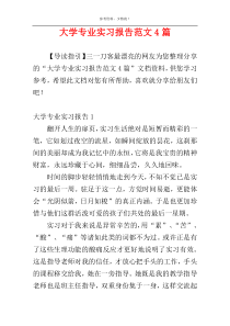 大学专业实习报告范文4篇