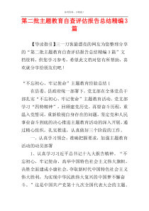 第二批主题教育自查评估报告总结精编3篇