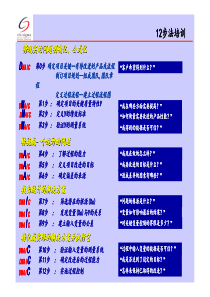 GE_黑带培训教材之12步法训练