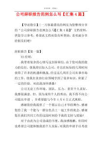 公司辞职报告范例怎么写【汇集4篇】