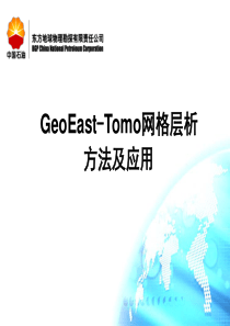 GS-Tomo培训