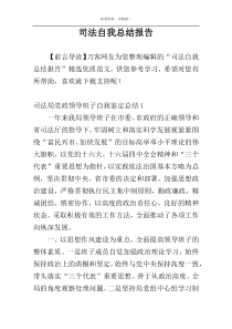 司法自我总结报告