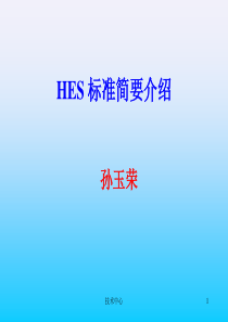 hes标准培训讲稿