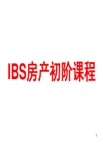 IBS投资房地产策略