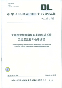 DLT 491-2008 大中型水轮发电机自并励励磁系统及装置运行和检修规程