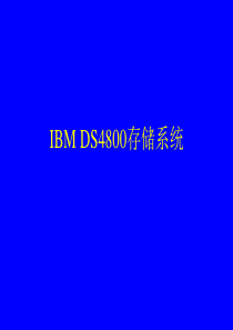 IBM DS4800培训资料