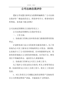 公司出纳自我评价