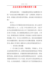 企业自查自纠整改报告3篇