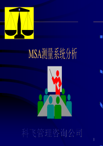 Msa培训教材