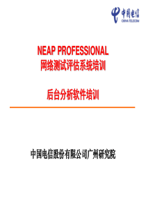 NEAPPROFESSIONAL后台测试软件培训-v12