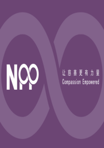 NPP-Google培训教材