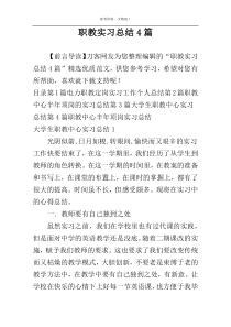 职教实习总结4篇