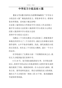 中学实习小组总结4篇