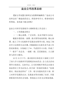 盐业公司改革总结