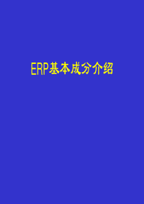 ERP基本成分介绍及方法