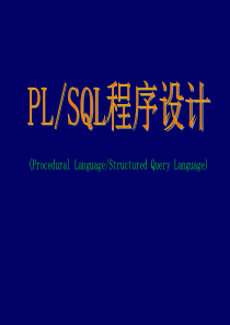 PL_SQL培训文档