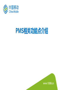 PMS培训材料160127-丁杰