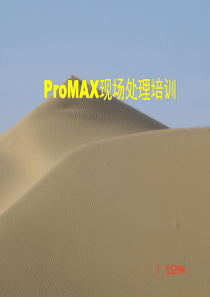 ProMAX现场处理培训