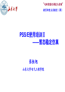 PSSE使用培训（PPT66页)