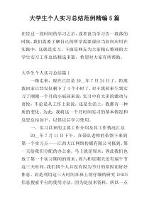 大学生个人实习总结范例精编5篇