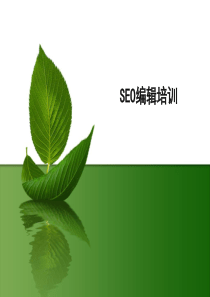 SEO编辑培训（PPT30页)