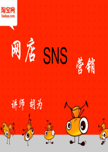 SNS培训课件