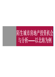 世联_陌生城市房地产投资机会与分析以北海