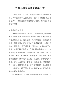 对领导班子的意见精编2篇