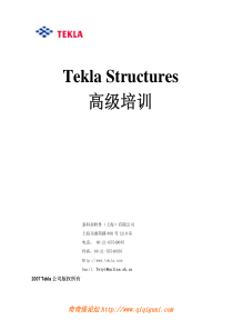 TeklaStructures高级培训资料