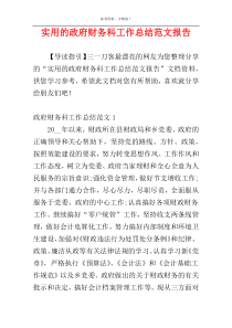 实用的政府财务科工作总结范文报告