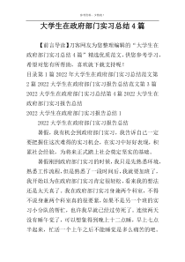 大学生在政府部门实习总结4篇