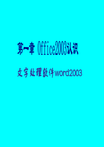 word2003入门培训