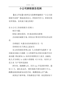 小公司辞职报告范例