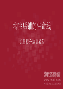 XXXX最新淘宝店、淘宝商城排名规则及流量提升培训教程