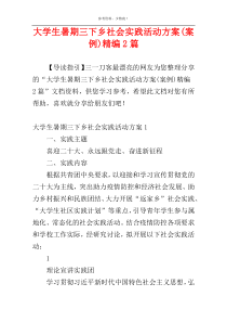 大学生暑期三下乡社会实践活动方案(案例)精编2篇