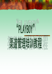 “playboy”皮鞋通路建设培训222