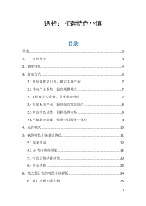 03透析打造特色小镇（PDF32页）