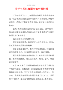 关于五四红旗团支部申报材料