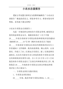 小农水自查报告