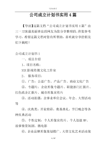 公司成立计划书实用4篇