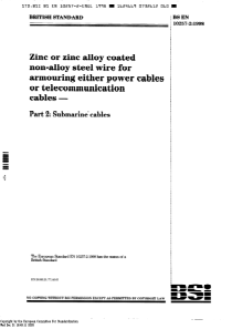 BS EN 10257-2-1998 电力电缆或通信电缆铠装用镀锌或锌合金非合金钢丝 海底电缆