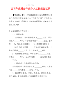 公司年度财务年度个人工作报告汇报