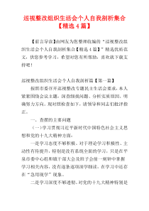 巡视整改组织生活会个人自我剖析集合【精选4篇】