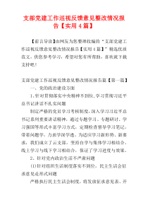 支部党建工作巡视反馈意见整改情况报告【实用4篇】